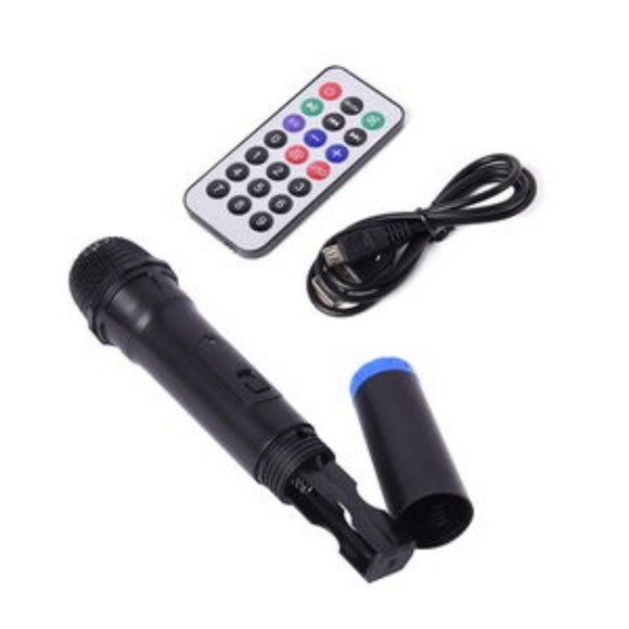 Host Pick: Bluetooth Portable Player with Microphone - Picture 7 of 7